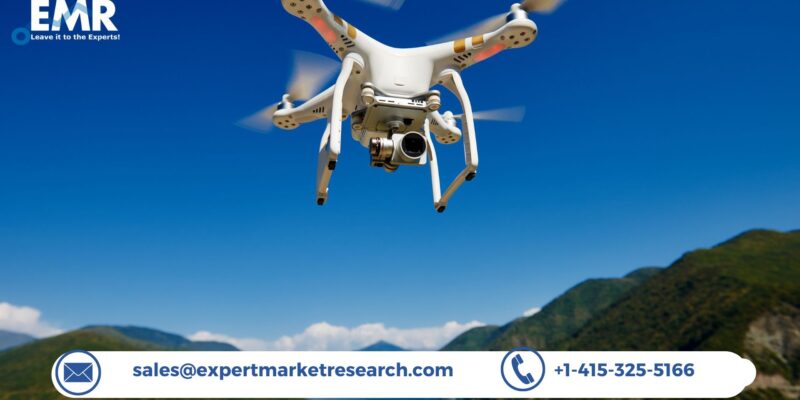 Unmanned Aerial Vehicle (UAV) Market Share